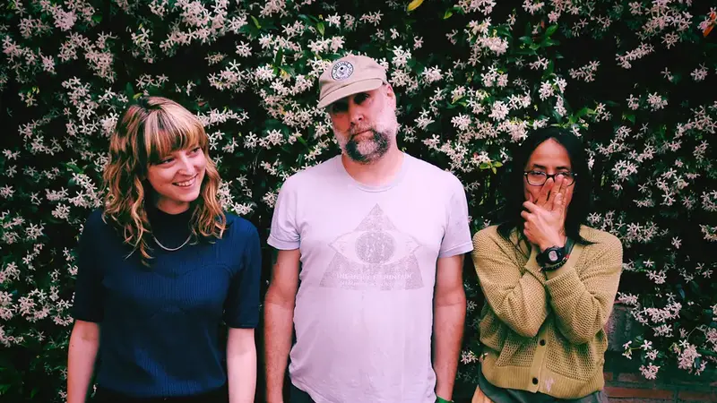 Built to Spill's three members standing in front of a flowering hedge