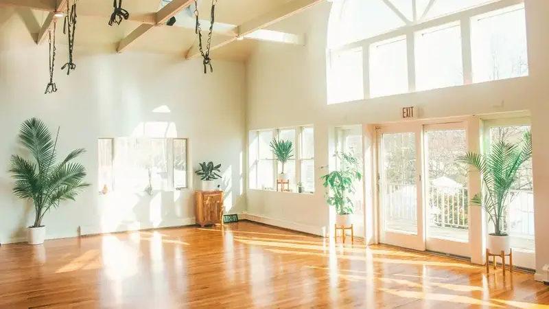 Sunlight from a large arched window falling across the studio's wood floor, with palms and glass doors