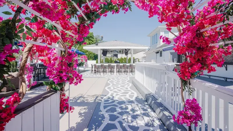 An arch of bright pink flowers over the walkway to The Cove's waterfront patio, with white railings and the marina beyond
